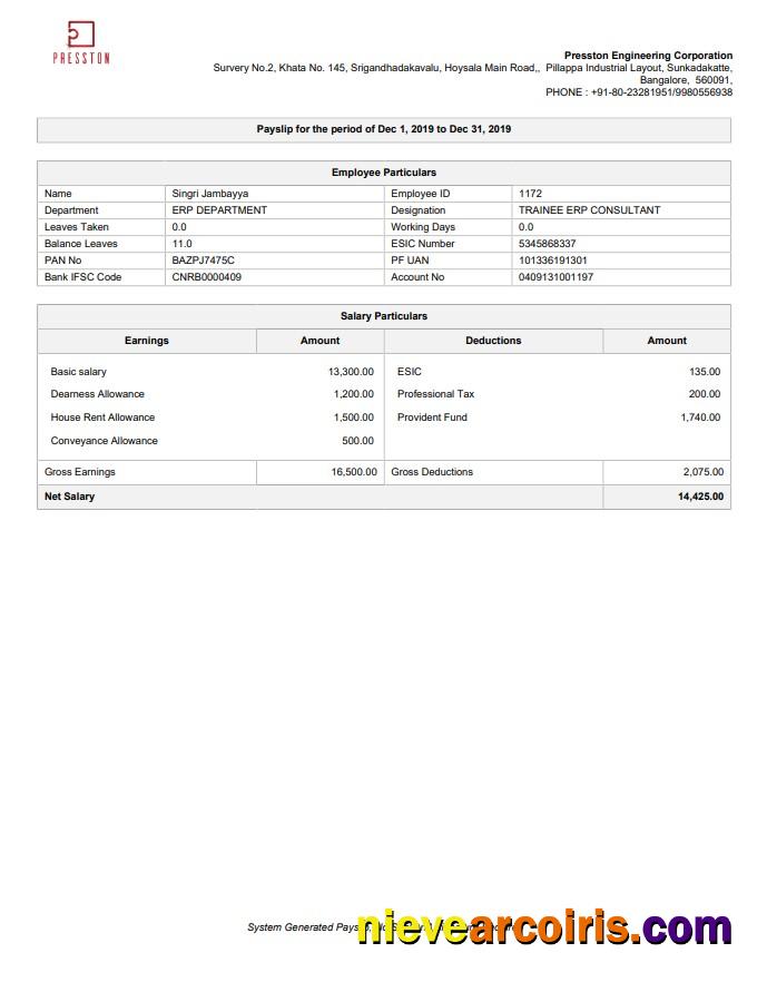 Presston Engineering Corporation pay stub